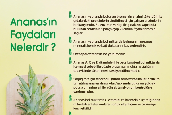 Ananasın faydaları nelerdir Ananasın faydaları nelerdir