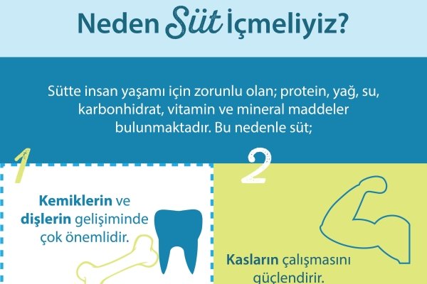 Neden su içmeliyiz Neden su içmeliyiz